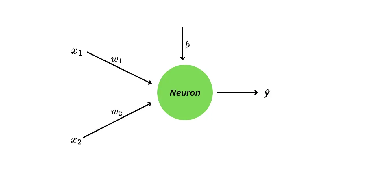 neural network with one neuron